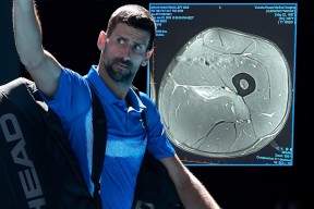 德约科维奇迎来二十赛季高光表现，塞尔维亚队球迷沸腾！